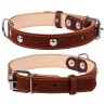 Ошейник двойной CoLLaR с украшением коричневый, кожа, Размер: M (38-50 см)