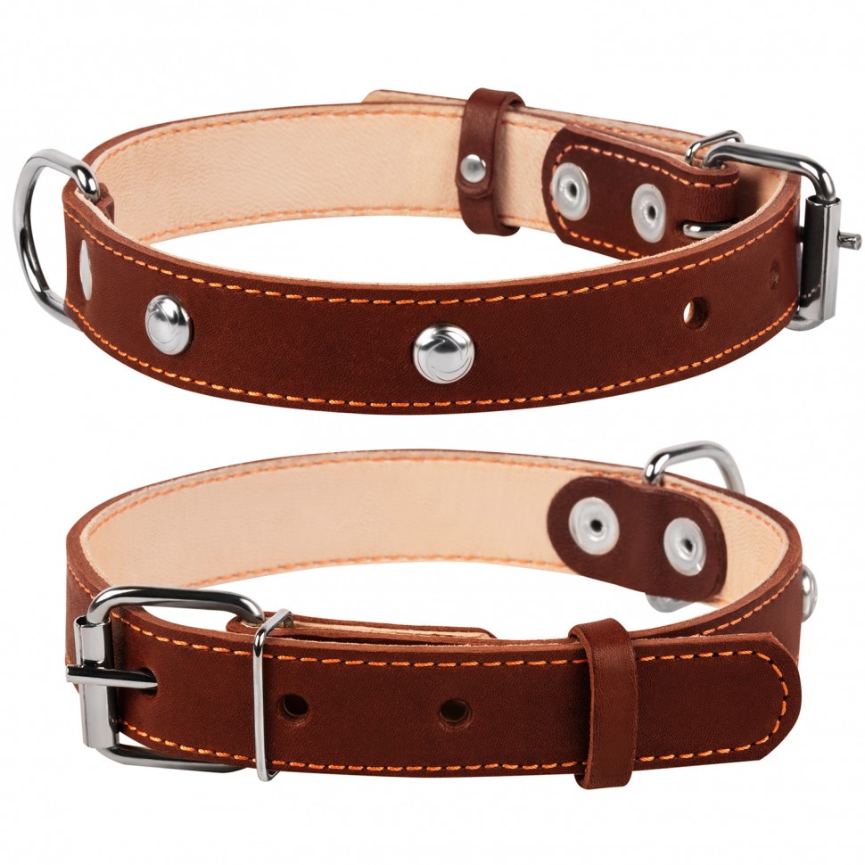 Ошейник двойной CoLLaR с украшением коричневый, кожа, Размер: M (38-50 см)