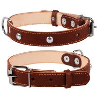 Ошейник двойной CoLLaR с украшением коричневый, кожа, Размер: M (38-50 см)