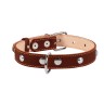 Ошейник двойной CoLLaR с украшением коричневый, кожа, Размер: M (38-50 см)