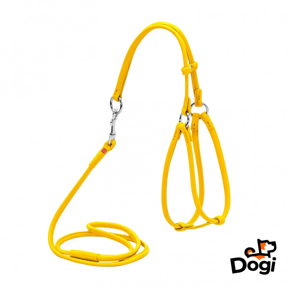 Шлея круглая WAUDOG Glamour с поводком для кошек и мелких собак Желтый, кожа, Обхват груди 46-64 см