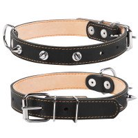 Ошейник двойной CoLLaR с шипами черный, кожа, Размер: M (38-50 см)