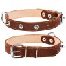 Ошейник двойной CoLLaR с шипами коричневый, кожа, Размер: M (38-50 см)