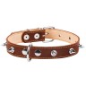 Ошейник двойной CoLLaR с шипами коричневый, кожа, Размер: M (38-50 см)