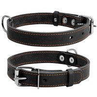 Ошейник одинарный CoLLaR черный, кожа, Размер: M (38-50 см)