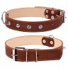 Ошейник двойной CoLLaR с шипами коричневый, кожа, Размер: L (47-62 см)