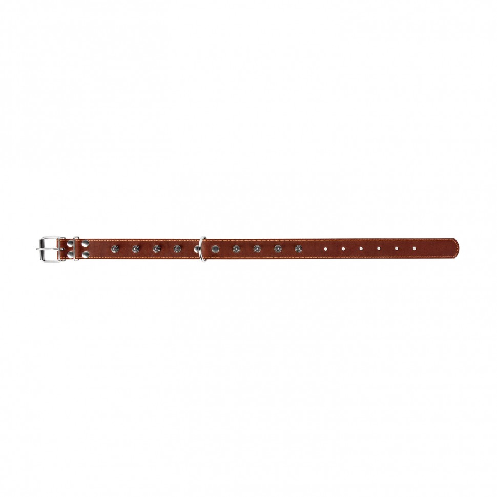Ошейник двойной CoLLaR с шипами коричневый, кожа, Размер: L (47-62 см)