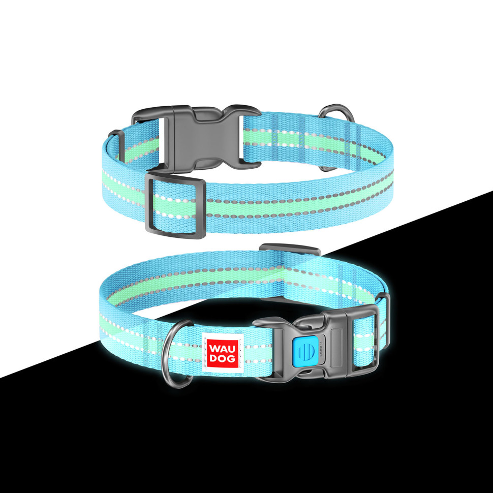 Ошейник WAUDOG Nylon с QR паспортом, светящийся, пластиковый фастекс Голубой, нейлон, Размер: XS (23-35  см)