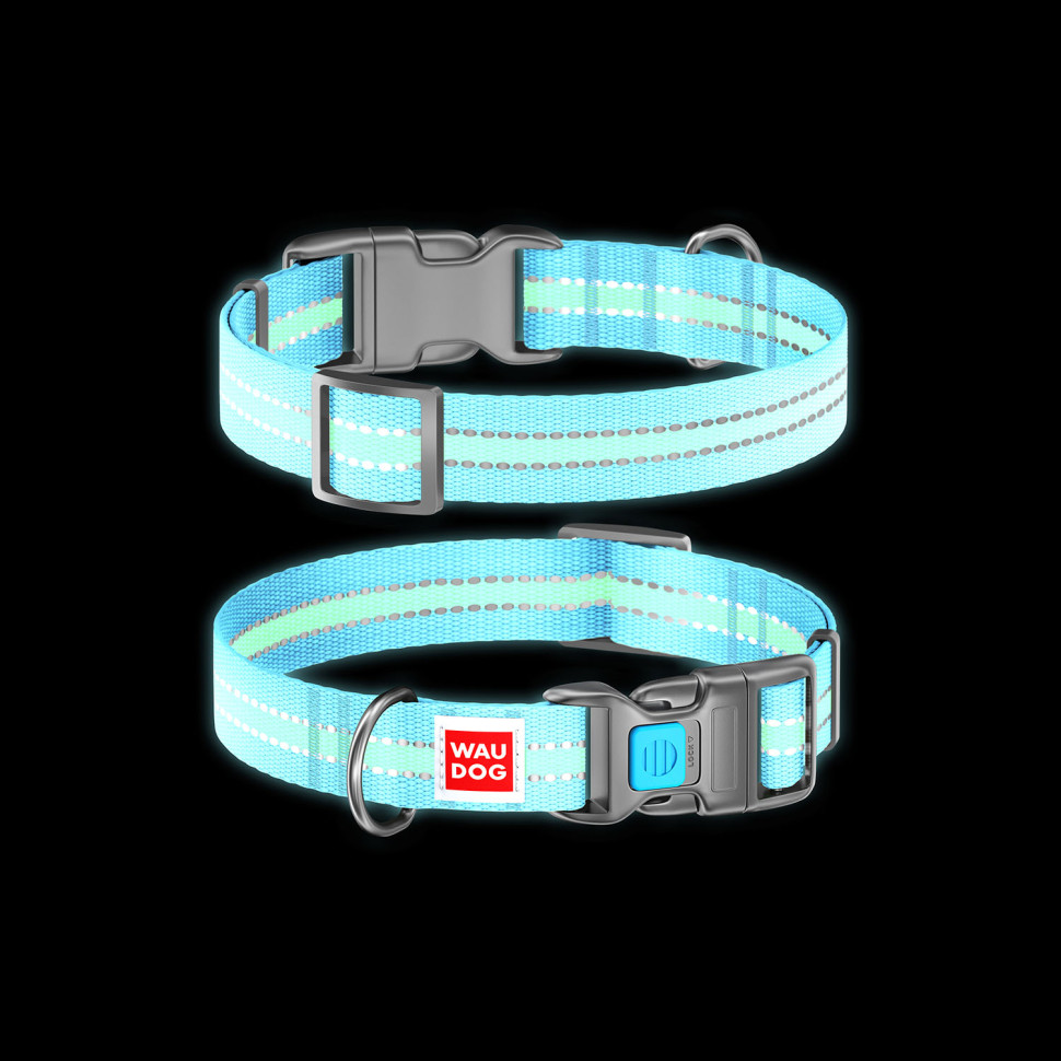 Ошейник WAUDOG Nylon с QR паспортом, светящийся, пластиковый фастекс Голубой, нейлон, Размер: S (24-40  см)