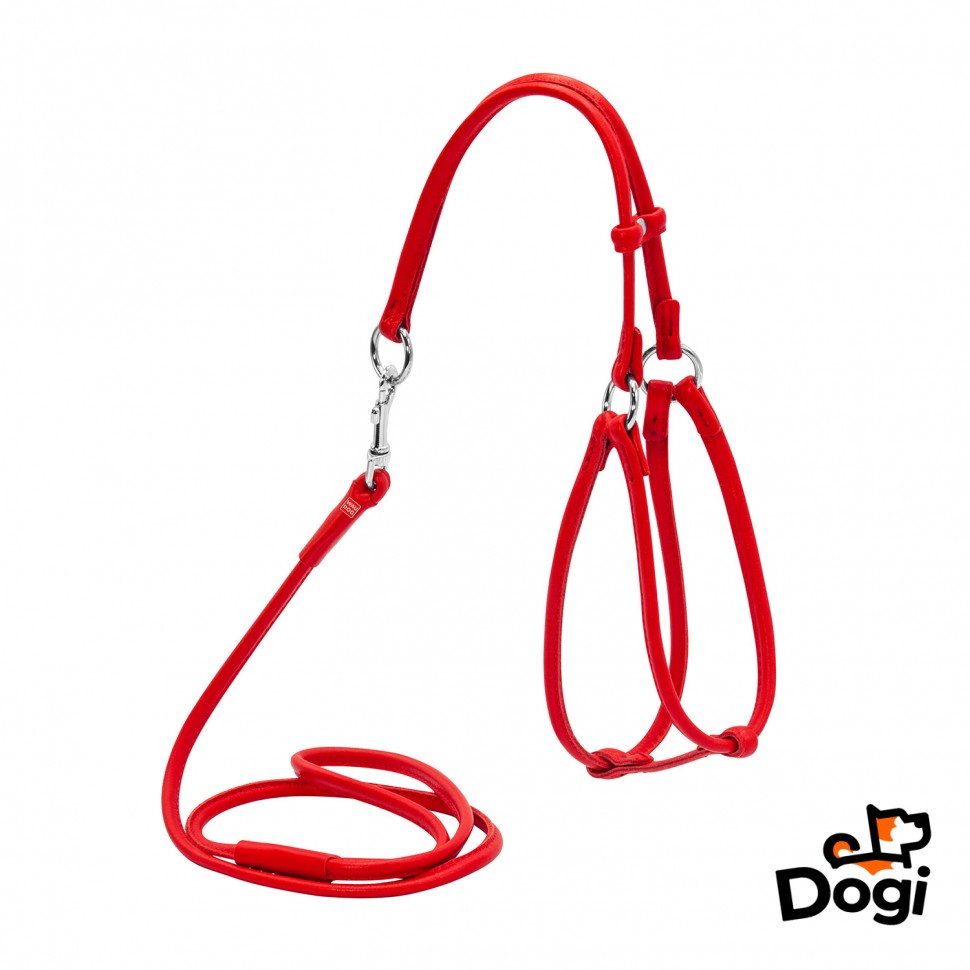 Шлея круглая WAUDOG Glamour с поводком для кошек и мелких собак Красный, кожа, Обхват груди 46-64 см