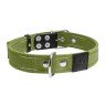 Ошейник двойной CoLLaR х/б тесьма  зеленый, брезент, Размер: L (51-63 см)