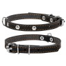 Ошейник одинарный CoLLaR с украшением черный, кожа, Размер: xs (24-32 см)