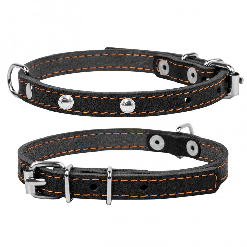 Ошейник одинарный CoLLaR с украшением черный, кожа, Размер: xs (24-32 см)