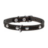 Ошейник одинарный CoLLaR с украшением черный, кожа, Размер: xs (24-32 см)