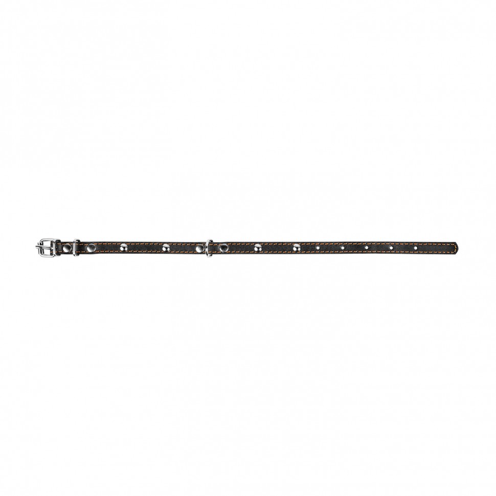 Ошейник одинарный CoLLaR с украшением черный, кожа, Размер: xs (24-32 см)