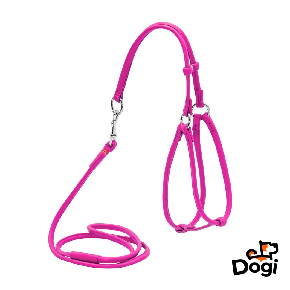 Шлея круглая WAUDOG Glamour с поводком для кошек и мелких собак Розовый, кожа, Обхват груди 62-70  см