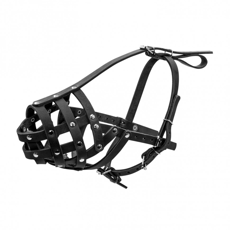 Намордник CoLLaR твердый  черный, кожа, длинна/обхват морды: 5 / 33 см