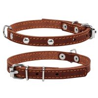 Ошейник одинарный CoLLaR с украшением коричневый, кожа, Размер: xs (24-32 см)