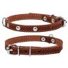 Ошейник одинарный CoLLaR с украшением коричневый, кожа, Размер: xs (24-32 см)