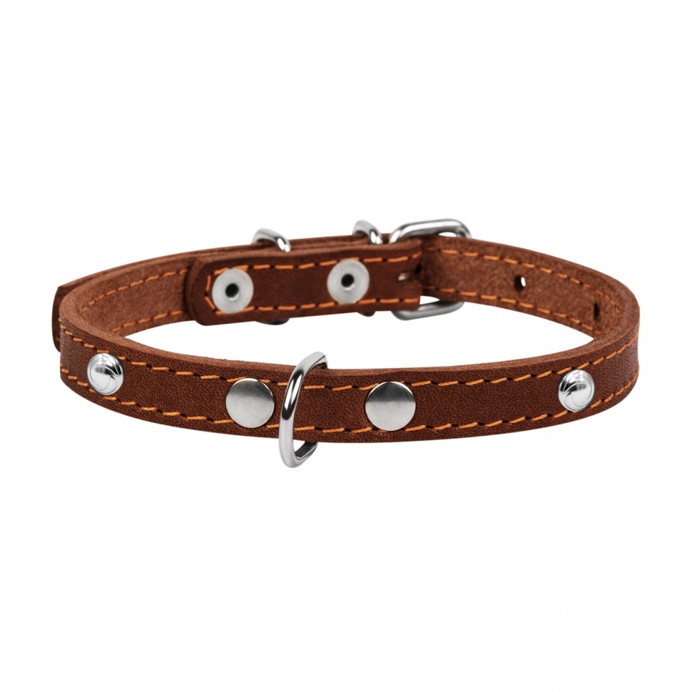 Ошейник одинарный CoLLaR с украшением коричневый, кожа, Размер: xs (24-32 см)