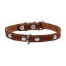 Ошейник одинарный CoLLaR с украшением коричневый, кожа, Размер: xs (24-32 см)