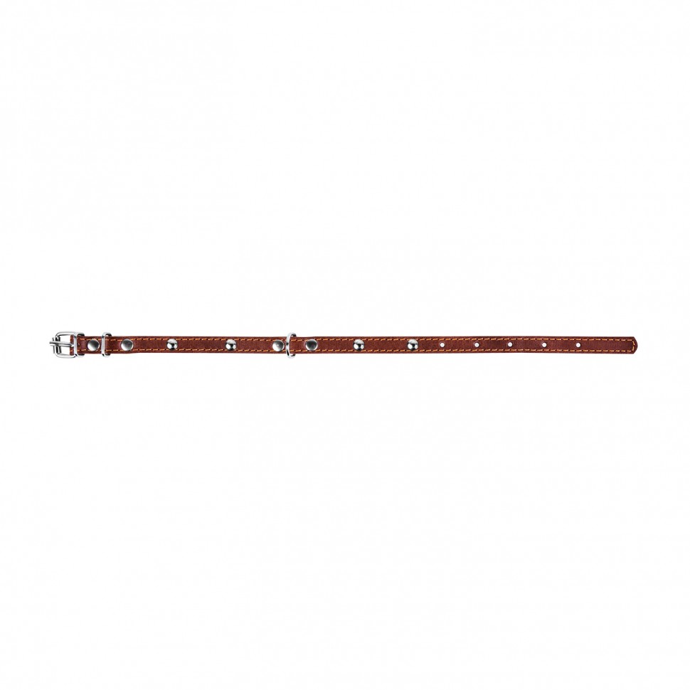 Ошейник одинарный CoLLaR с украшением коричневый, кожа, Размер: xs (24-32 см)