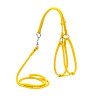 Шлея круглая WAUDOG Glamour с поводком для кошек и мелких собак Желтый, кожа, Обхват груди 62-70  см