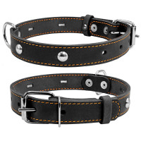Ошейник одинарный CoLLaR с украшением черный, кожа, Размер: s (32-40 см)