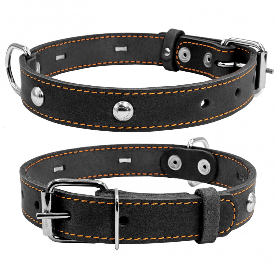 Ошейник одинарный CoLLaR с украшением черный, кожа, Размер: s (32-40 см)