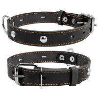 Ошейник одинарный CoLLaR с украшением черный, кожа, Размер: s (32-40 см)