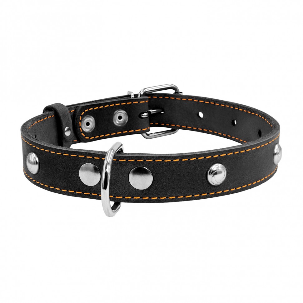 Ошейник одинарный CoLLaR с украшением черный, кожа, Размер: s (32-40 см)