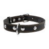 Ошейник одинарный CoLLaR с украшением черный, кожа, Размер: s (32-40 см)