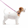 Поводок WAUDOG Nylon, светящийся Розовый, нейлонXS (122 см)