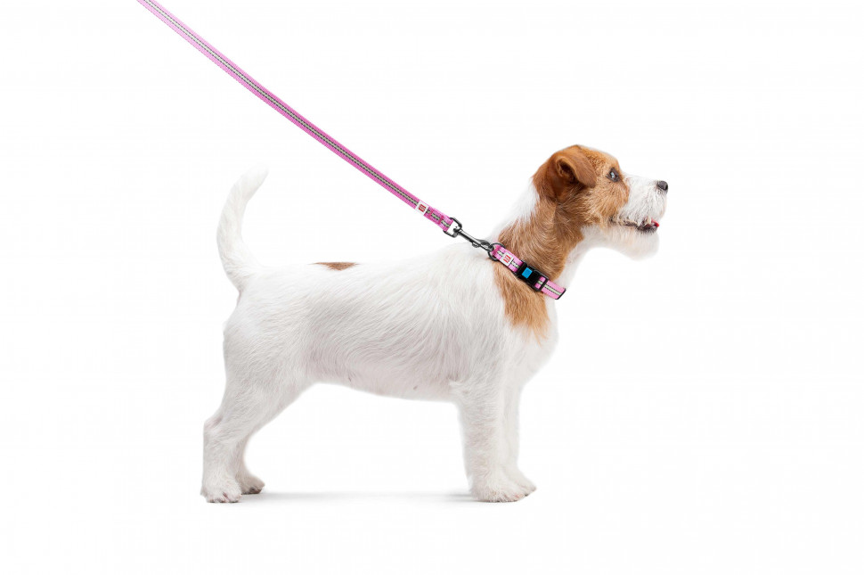 Поводок WAUDOG Nylon, светящийся Розовый, нейлонXS (122 см)