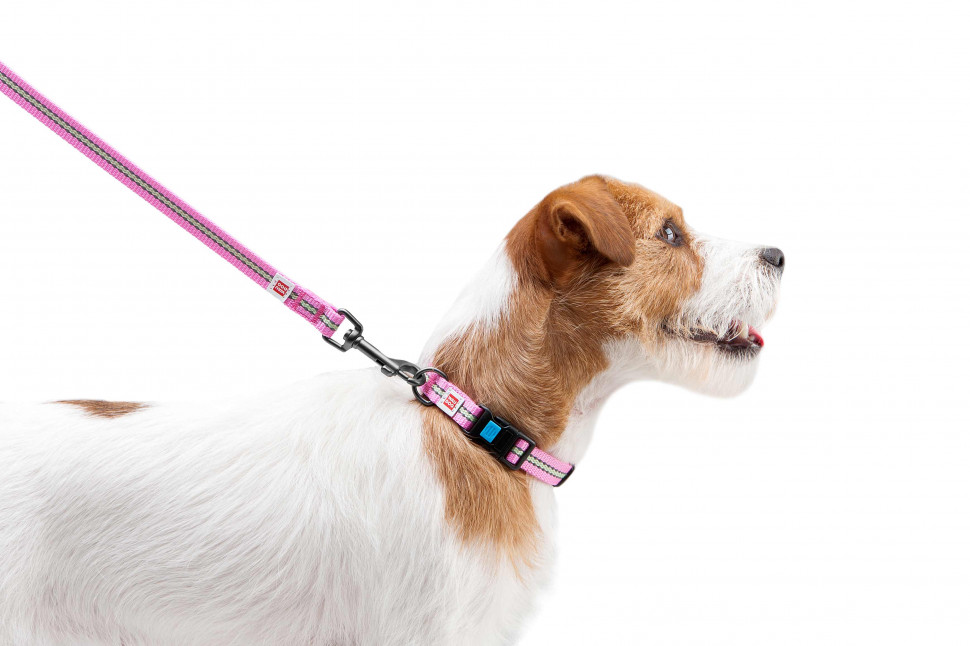 Поводок WAUDOG Nylon, светящийся Розовый, нейлонXS (122 см)
