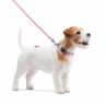 Поводок WAUDOG Nylon, светящийся Розовый, нейлонXS (122 см)
