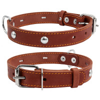 Ошейник одинарный CoLLaR с украшением коричневый, кожа, Размер: s (32-40 см)