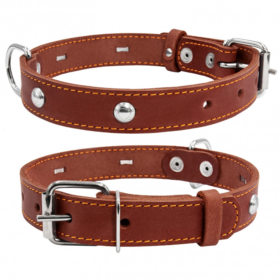 Ошейник одинарный CoLLaR с украшением коричневый, кожа, Размер: s (32-40 см)