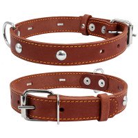 Ошейник одинарный CoLLaR с украшением коричневый, кожа, Размер: s (32-40 см)