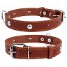 Ошейник одинарный CoLLaR с украшением коричневый, кожа, Размер: s (32-40 см)
