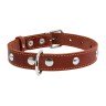 Ошейник одинарный CoLLaR с украшением коричневый, кожа, Размер: s (32-40 см)