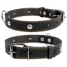Ошейник одинарный CoLLaR с украшением черный, кожа, Размер: M (38-50 см)