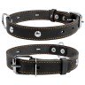 Ошейник одинарный CoLLaR с украшением черный, кожа, Размер: M (38-50 см)