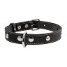 Ошейник одинарный CoLLaR с украшением черный, кожа, Размер: M (38-50 см)
