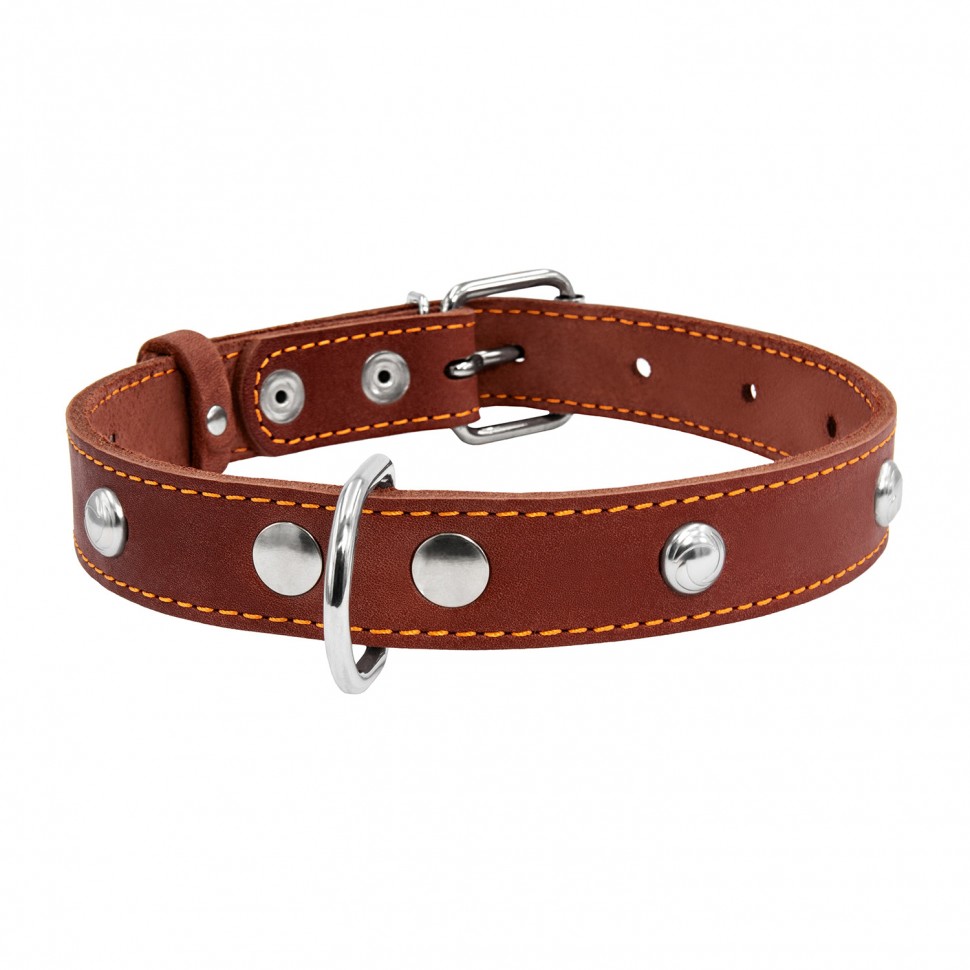 Ошейник одинарный CoLLaR с украшением коричневый, кожа, Размер: M (38-50 см)