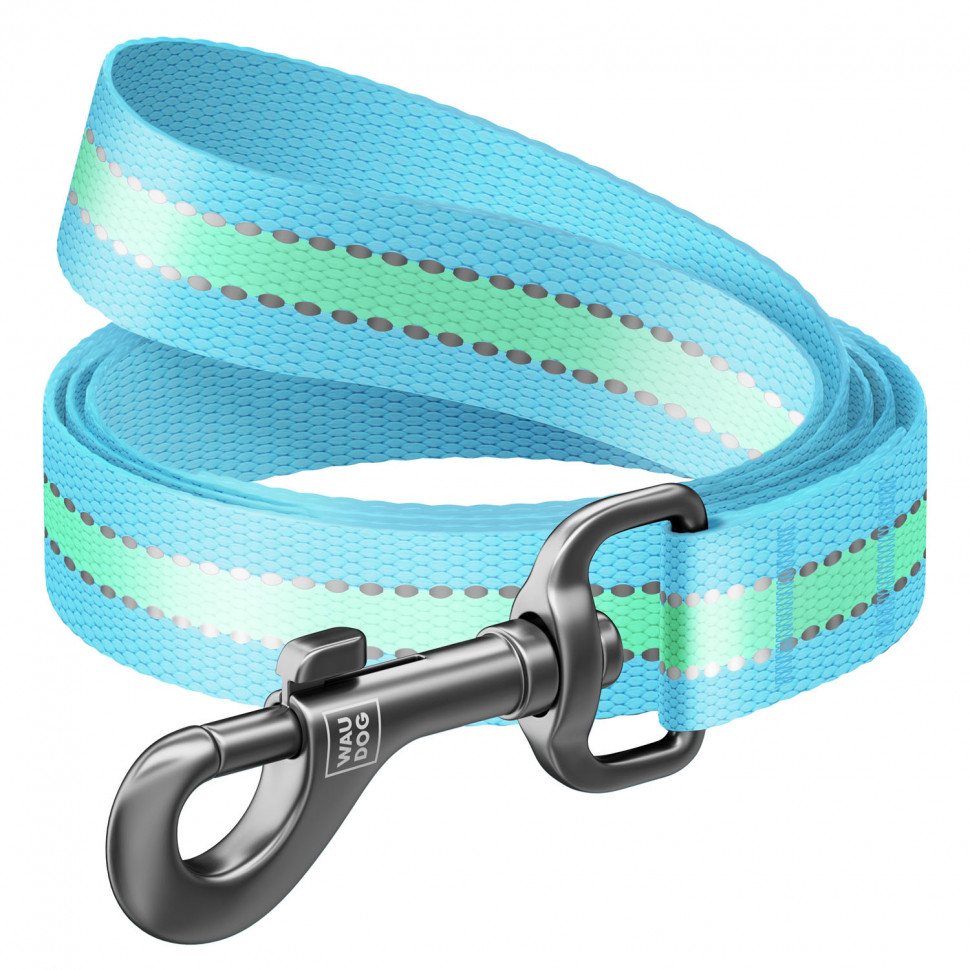 Поводок WAUDOG Nylon, светящийся Голубой, нейлонXS (122 см)