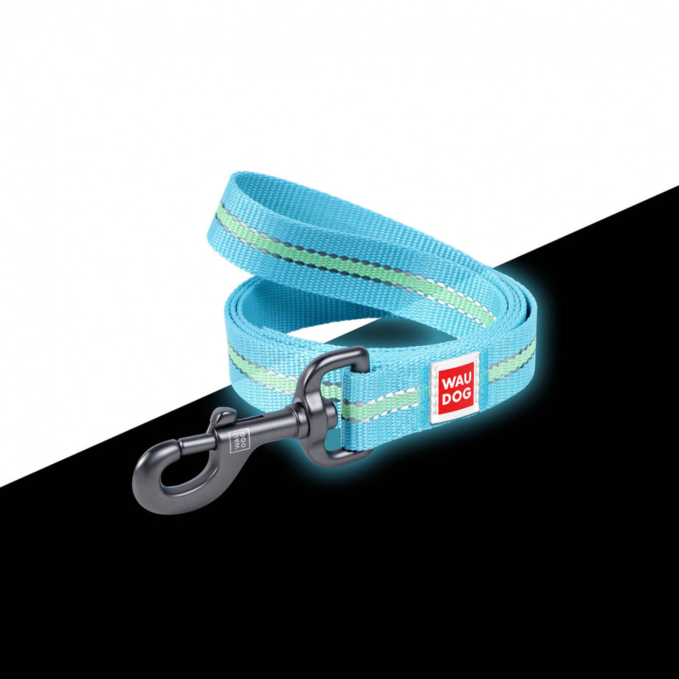 Поводок WAUDOG Nylon, светящийся Голубой, нейлонXS (122 см)