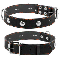 Ошейник одинарный CoLLaR с украшением черный, кожа, Размер: L (47-62 см)