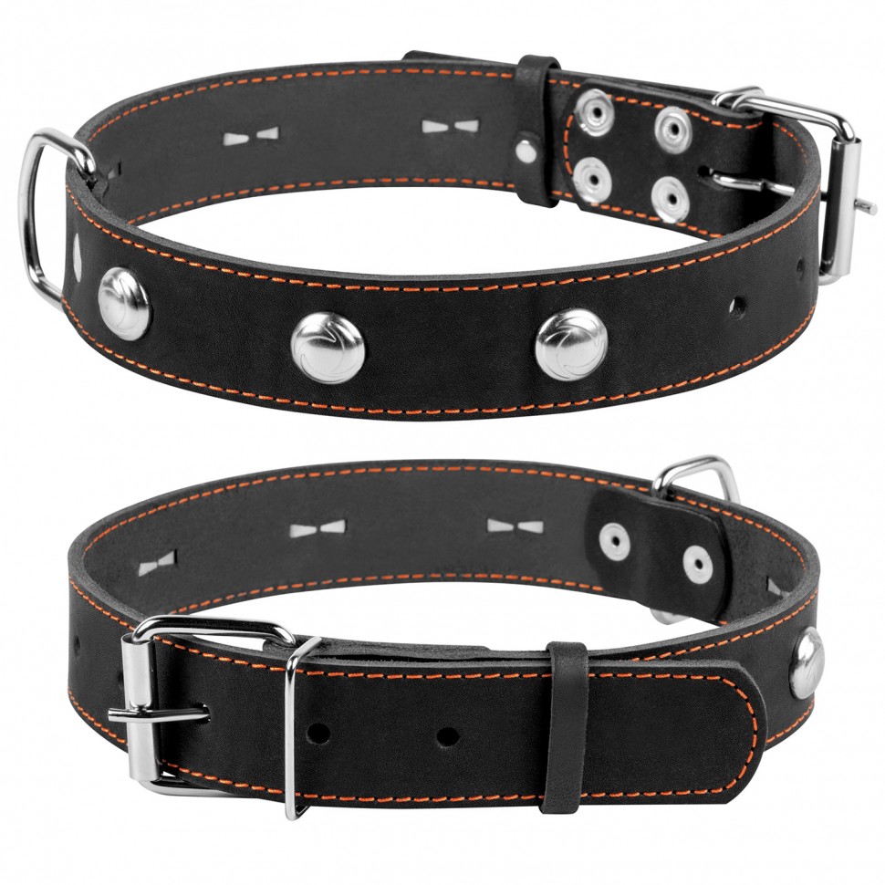 Ошейник одинарный CoLLaR с украшением черный, кожа, Размер: L (47-62 см)
