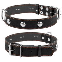 Ошейник одинарный CoLLaR с украшением черный, кожа, Размер: L (47-62 см)